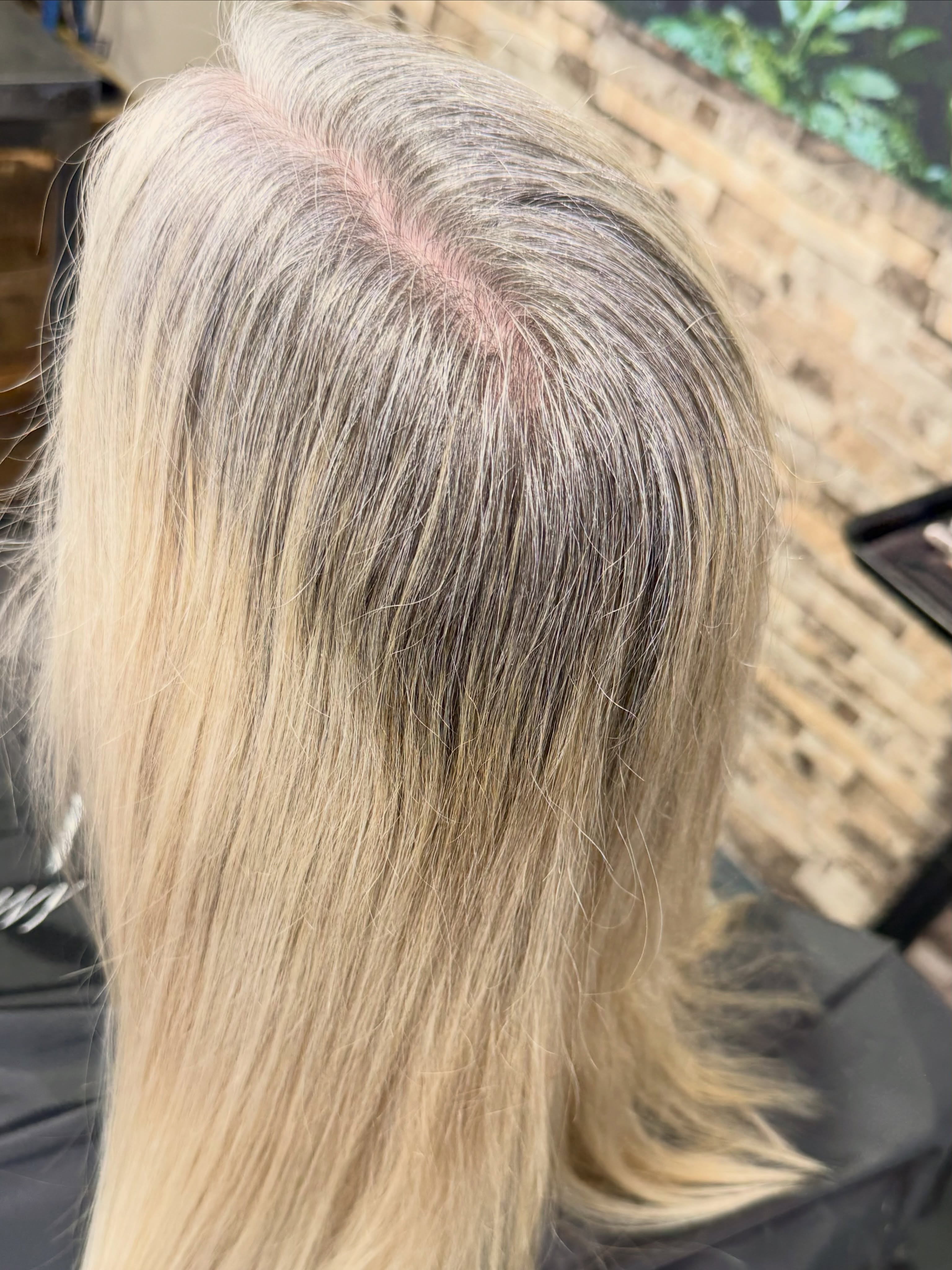 🤍 You don’t have to choose!
Grey blending + lived-in bright blonde = the best of both worlds. ✨
Soft, dimensional, bright—and designed to grow out beautifully. She comes in every 12 weeks for a refresh!
Low-maintenance color that still feels luxurious. ✨
📍 Davenport, FL | T & Company Salon
